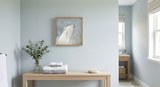 Oso Polar: ambiente 2