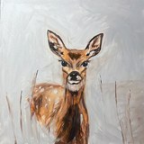 Ciervo — fase 03: El animal toma cuerpo
