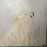 Oso Polar — fase 02: El fondo se enfría