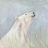 Oso Polar — fase 03: El blanco se impone