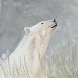 Oso Polar — fase 04: Brotan las flores