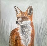 Zorro — fase 01: El zorro, solo