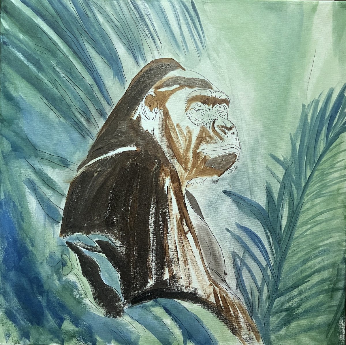 Gorila — proceso