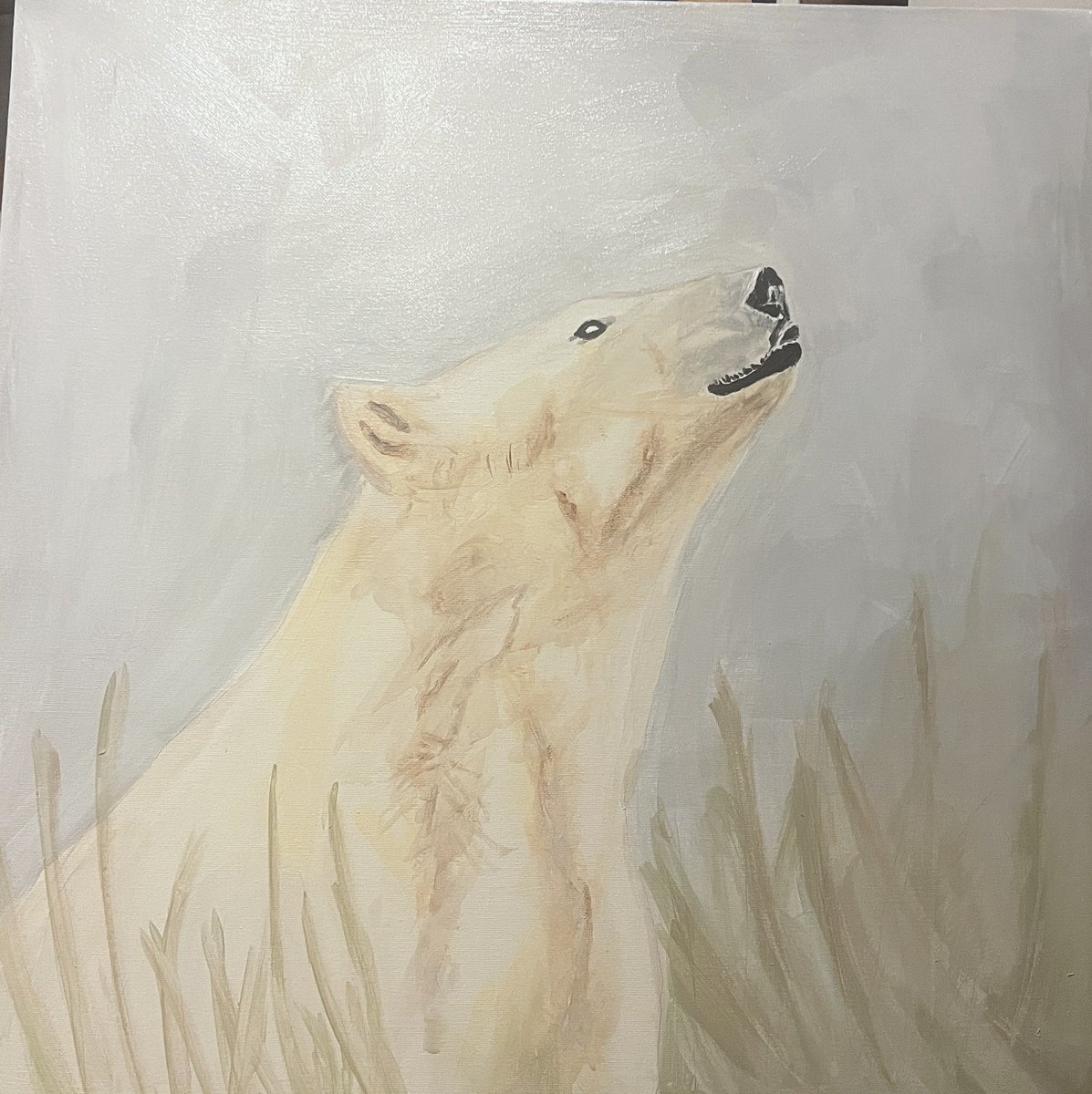 Oso Polar — proceso