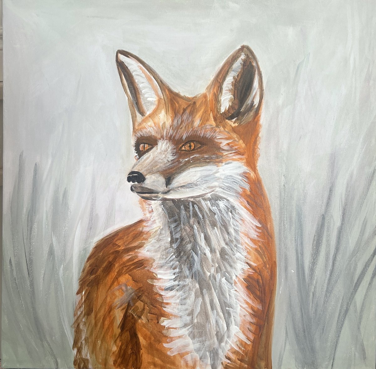Zorro — proceso